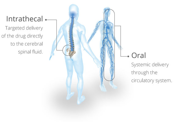 two graphics comparing the intrathecal use and oral use of Lioresal®, highlighting administration methods.